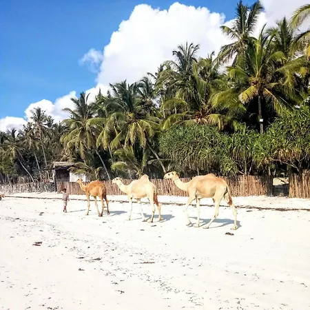 Guest house Golden Duranta Ukunda