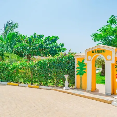 Golden Duranta *
